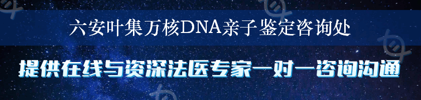 六安叶集万核DNA亲子鉴定咨询处